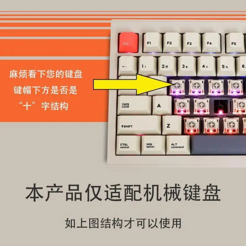 Evangelion Keycap Anime Kawaii Girl Q Version Asuka Resin Keycaps Cartoon Toy Ayanami Rei Personalized Keycaps Decorate Gift